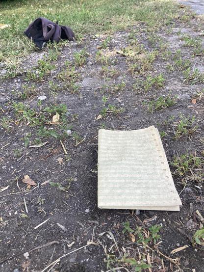 A folded sheet of dot matrix printer paper with holes along its edge and alternating rows of white and green is lying on the dry ground. In the background a single glove is lying in the grass.