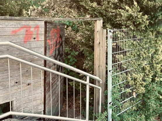 A half-opened wooden door with graffiti on it, outside and next to a metal fence. Behind it are dense bushes waiting to be explored. It might look like an inspirational photograph except the door itself is blocked by the metal railing of some kind of staircase.